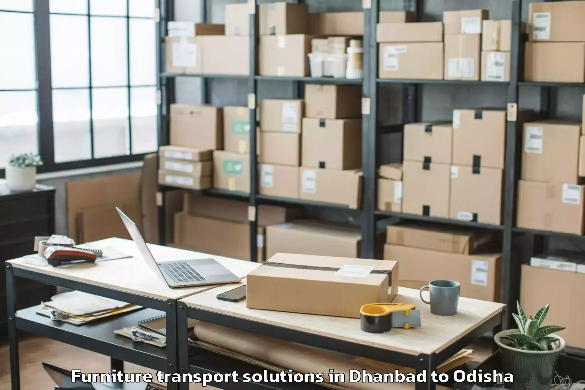 Quality Dhanbad to Purunakot Furniture Transport Solutions